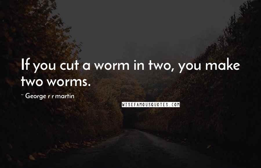 George R R Martin Quotes: If you cut a worm in two, you make two worms.