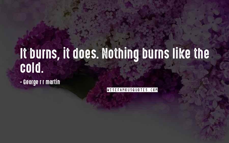 George R R Martin Quotes: It burns, it does. Nothing burns like the cold.