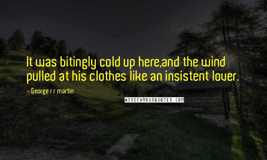 George R R Martin Quotes: It was bitingly cold up here,and the wind pulled at his clothes like an insistent lover.