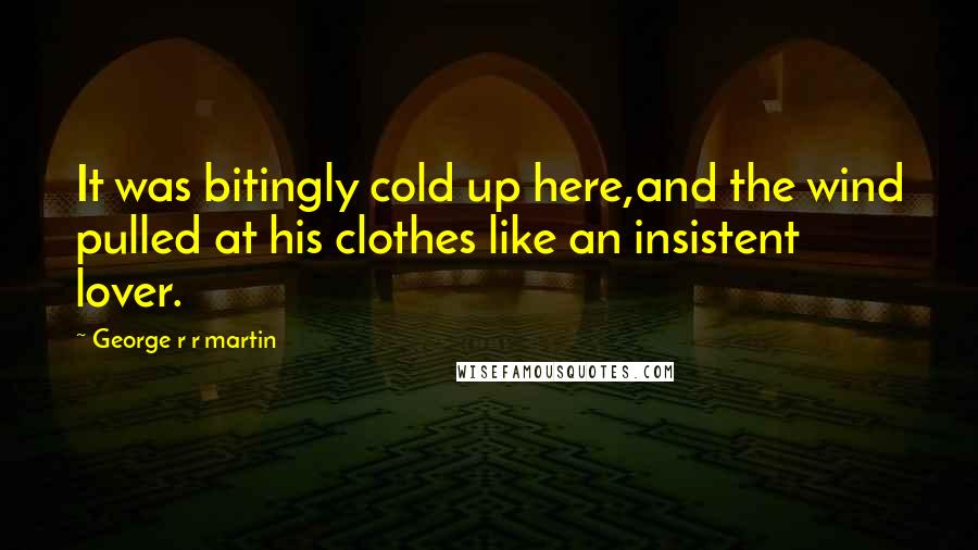 George R R Martin Quotes: It was bitingly cold up here,and the wind pulled at his clothes like an insistent lover.