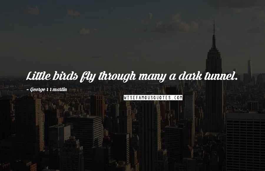 George R R Martin Quotes: Little birds fly through many a dark tunnel.