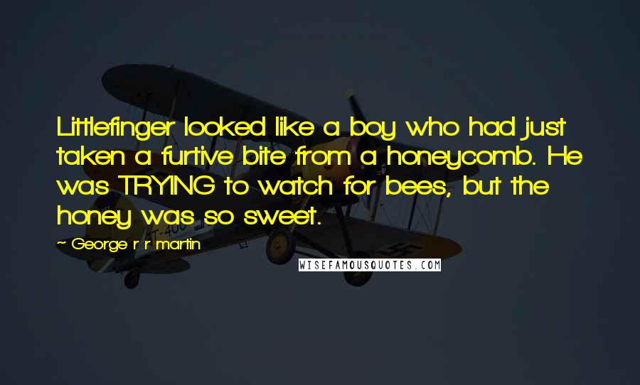 George R R Martin Quotes: Littlefinger looked like a boy who had just taken a furtive bite from a honeycomb. He was TRYING to watch for bees, but the honey was so sweet.