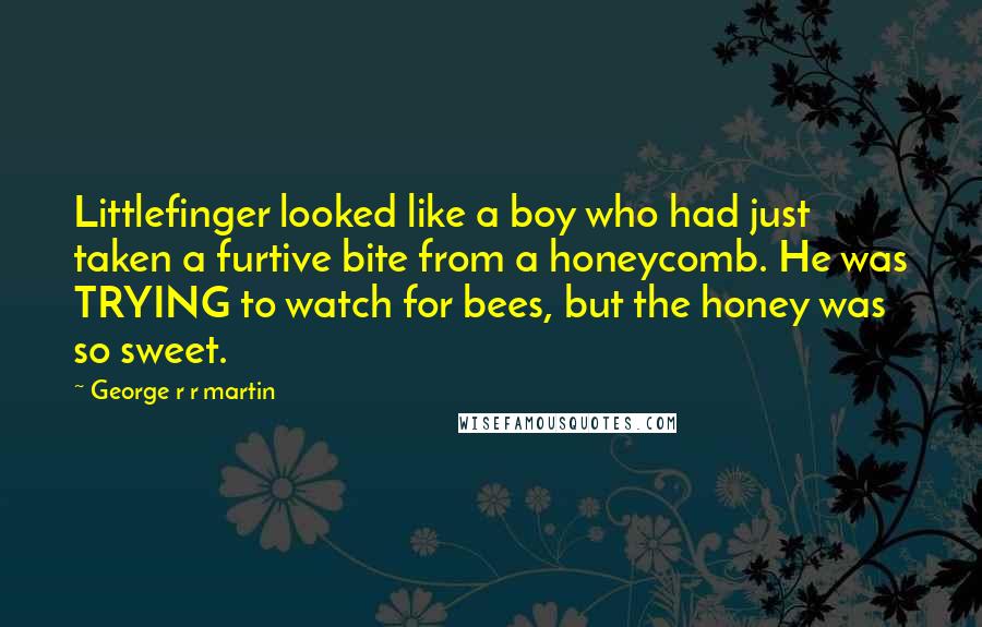 George R R Martin Quotes: Littlefinger looked like a boy who had just taken a furtive bite from a honeycomb. He was TRYING to watch for bees, but the honey was so sweet.