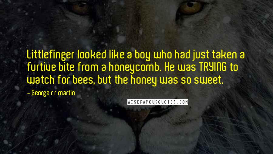 George R R Martin Quotes: Littlefinger looked like a boy who had just taken a furtive bite from a honeycomb. He was TRYING to watch for bees, but the honey was so sweet.