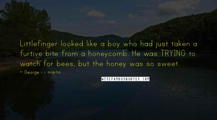 George R R Martin Quotes: Littlefinger looked like a boy who had just taken a furtive bite from a honeycomb. He was TRYING to watch for bees, but the honey was so sweet.