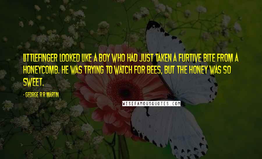 George R R Martin Quotes: Littlefinger looked like a boy who had just taken a furtive bite from a honeycomb. He was TRYING to watch for bees, but the honey was so sweet.
