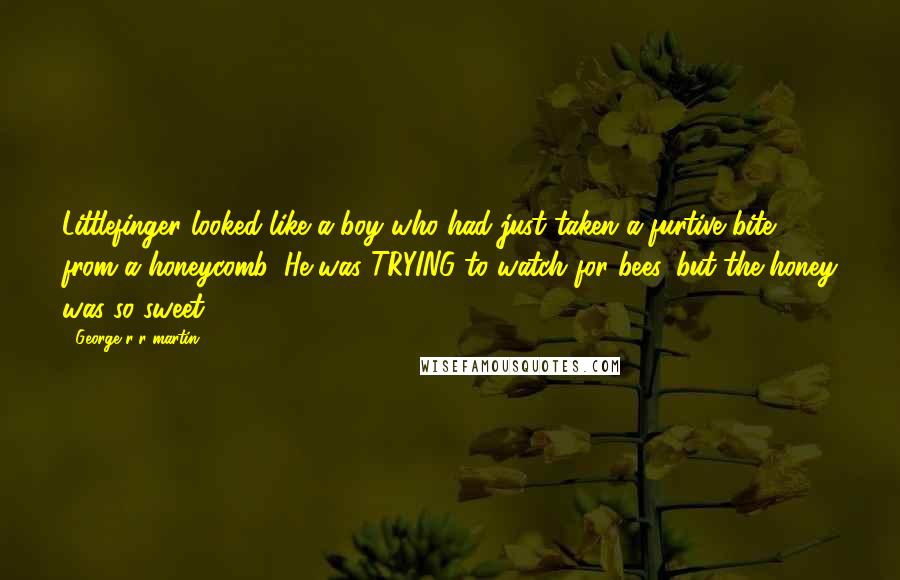 George R R Martin Quotes: Littlefinger looked like a boy who had just taken a furtive bite from a honeycomb. He was TRYING to watch for bees, but the honey was so sweet.