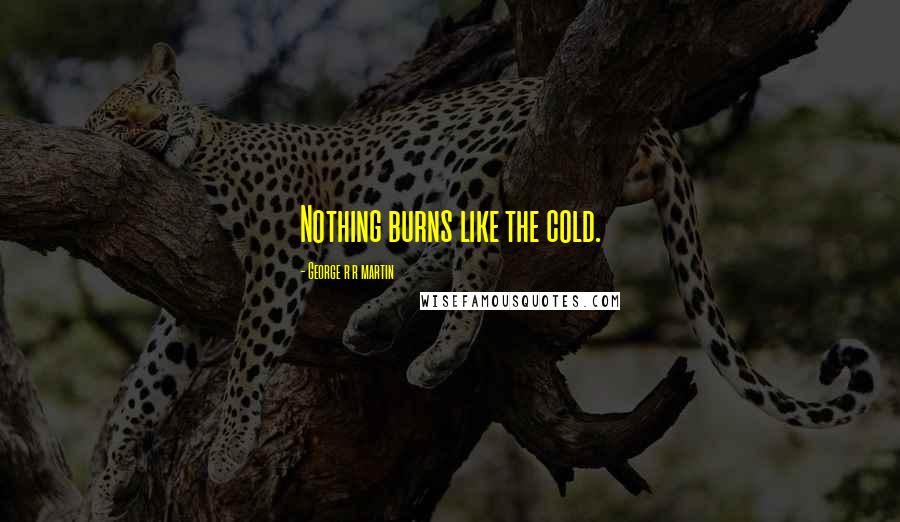 George R R Martin Quotes: Nothing burns like the cold.