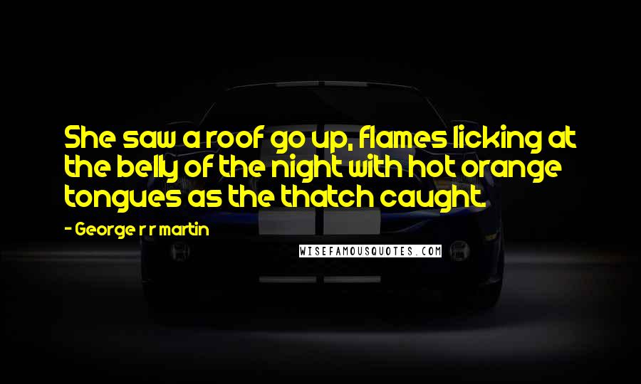 George R R Martin Quotes: She saw a roof go up, flames licking at the belly of the night with hot orange tongues as the thatch caught.