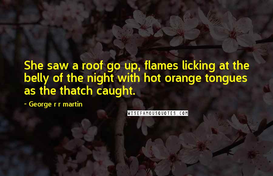 George R R Martin Quotes: She saw a roof go up, flames licking at the belly of the night with hot orange tongues as the thatch caught.