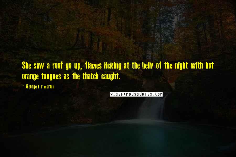 George R R Martin Quotes: She saw a roof go up, flames licking at the belly of the night with hot orange tongues as the thatch caught.