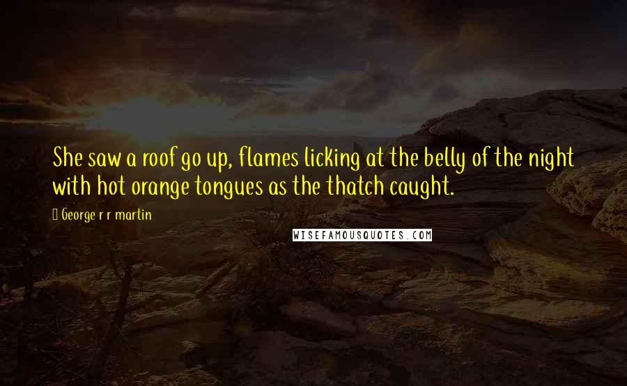 George R R Martin Quotes: She saw a roof go up, flames licking at the belly of the night with hot orange tongues as the thatch caught.
