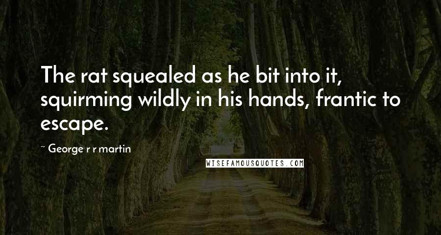 George R R Martin Quotes: The rat squealed as he bit into it, squirming wildly in his hands, frantic to escape.