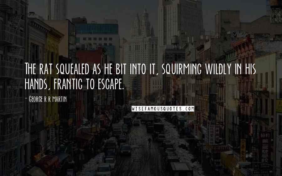 George R R Martin Quotes: The rat squealed as he bit into it, squirming wildly in his hands, frantic to escape.