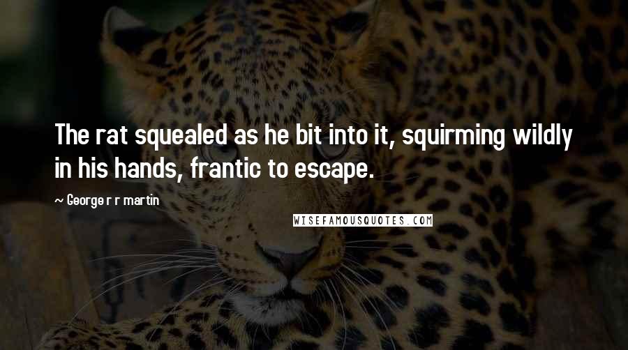 George R R Martin Quotes: The rat squealed as he bit into it, squirming wildly in his hands, frantic to escape.