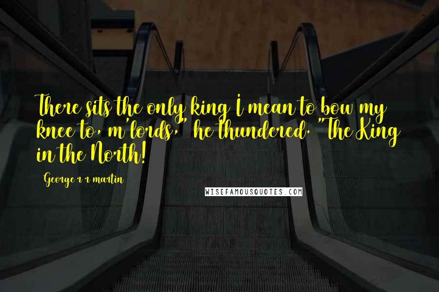 George R R Martin Quotes: There sits the only king I mean to bow my knee to, m'lords," he thundered. "The King in the North!