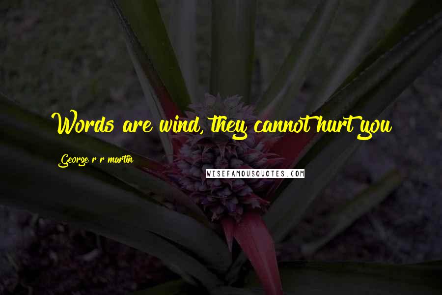 George R R Martin Quotes: Words are wind, they cannot hurt you