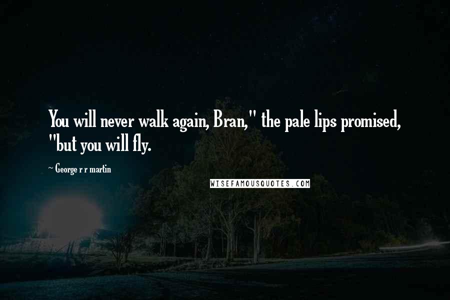 George R R Martin Quotes: You will never walk again, Bran," the pale lips promised, "but you will fly.