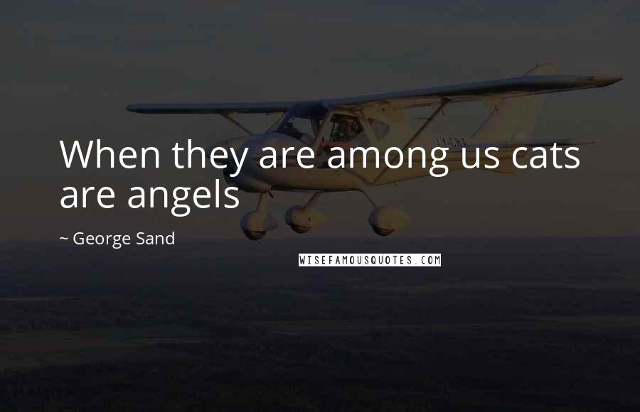 George Sand Quotes: When they are among us cats are angels