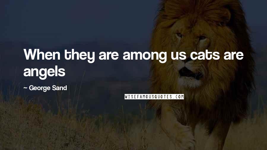 George Sand Quotes: When they are among us cats are angels