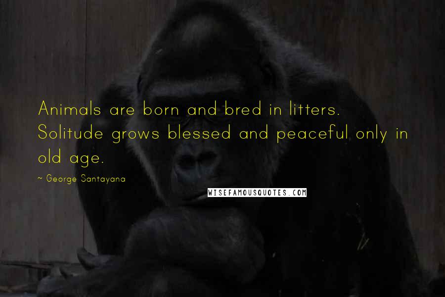 George Santayana Quotes: Animals are born and bred in litters. Solitude grows blessed and peaceful only in old age.