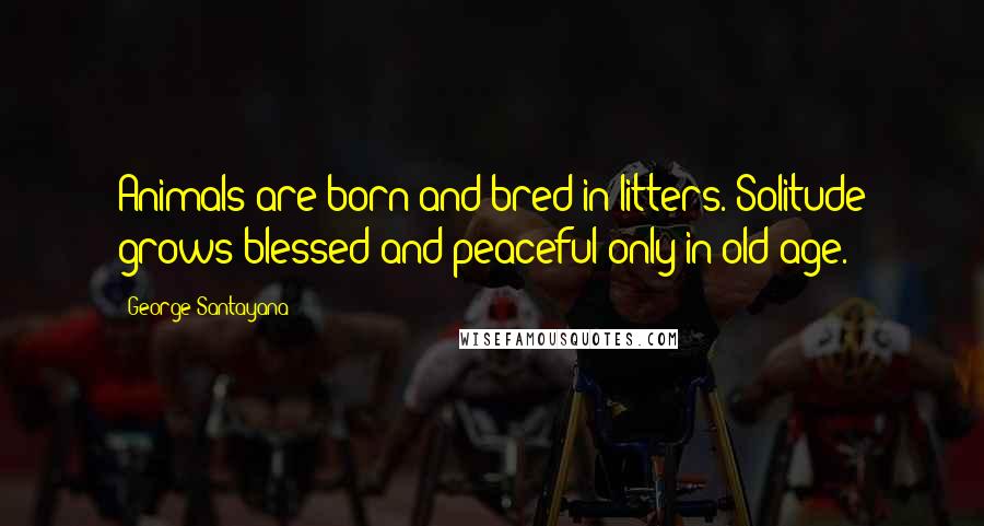 George Santayana Quotes: Animals are born and bred in litters. Solitude grows blessed and peaceful only in old age.