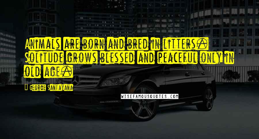 George Santayana Quotes: Animals are born and bred in litters. Solitude grows blessed and peaceful only in old age.