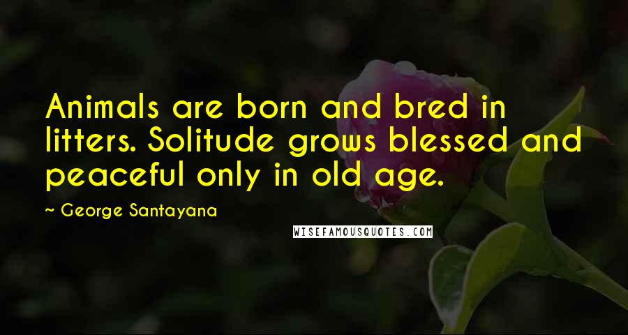 George Santayana Quotes: Animals are born and bred in litters. Solitude grows blessed and peaceful only in old age.