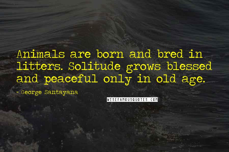 George Santayana Quotes: Animals are born and bred in litters. Solitude grows blessed and peaceful only in old age.