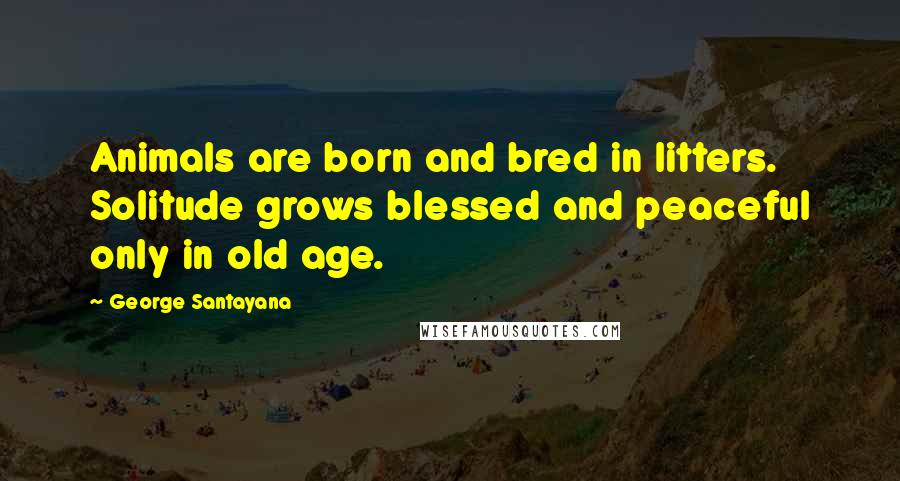 George Santayana Quotes: Animals are born and bred in litters. Solitude grows blessed and peaceful only in old age.
