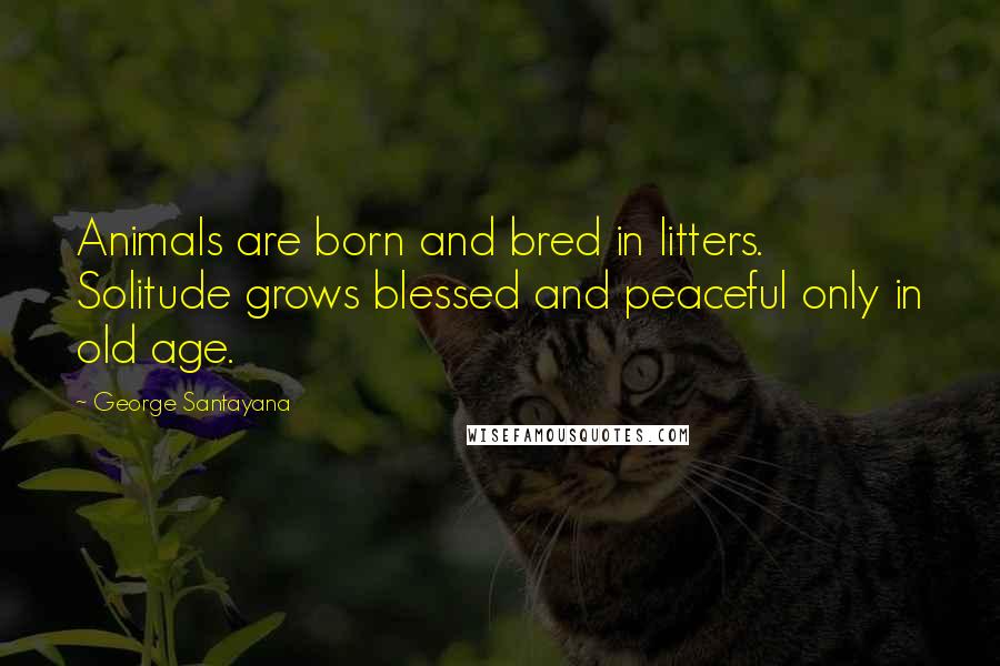 George Santayana Quotes: Animals are born and bred in litters. Solitude grows blessed and peaceful only in old age.