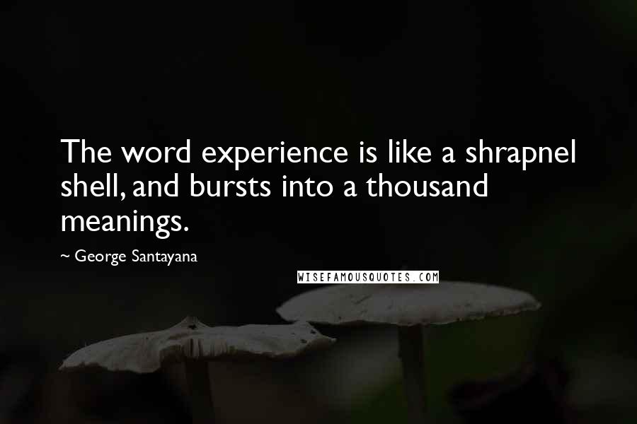 George Santayana Quotes: The word experience is like a shrapnel shell, and bursts into a thousand meanings.