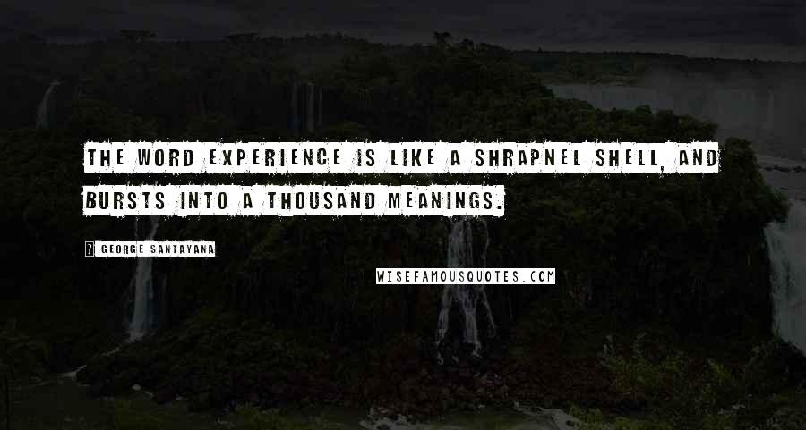 George Santayana Quotes: The word experience is like a shrapnel shell, and bursts into a thousand meanings.