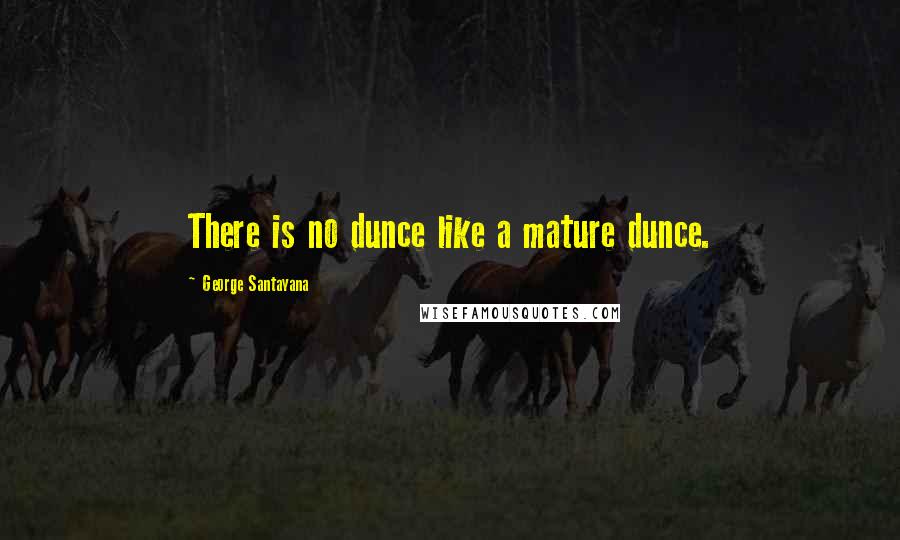 George Santayana Quotes: There is no dunce like a mature dunce.