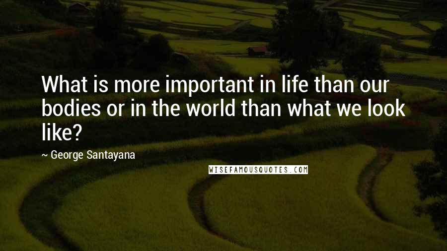 George Santayana Quotes: What is more important in life than our bodies or in the world than what we look like?