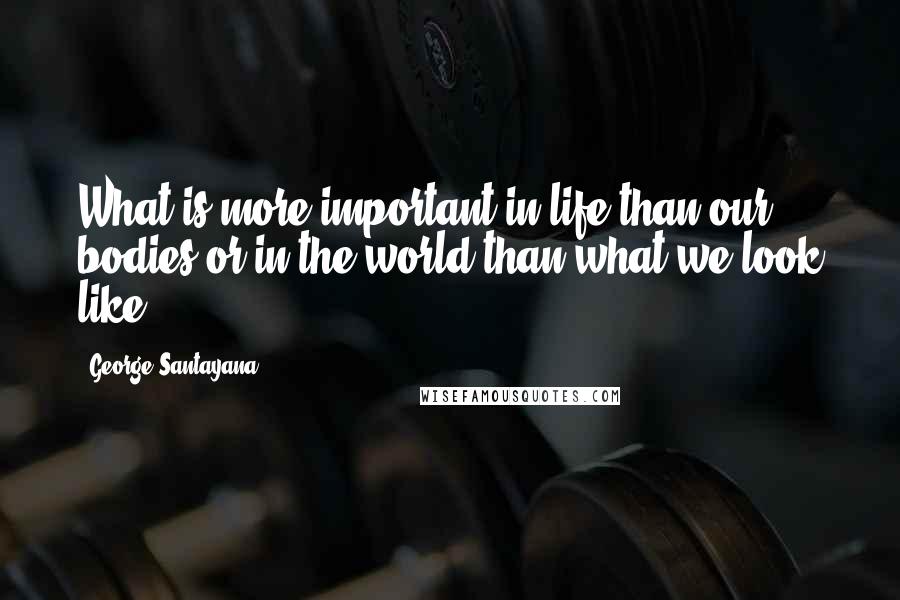 George Santayana Quotes: What is more important in life than our bodies or in the world than what we look like?