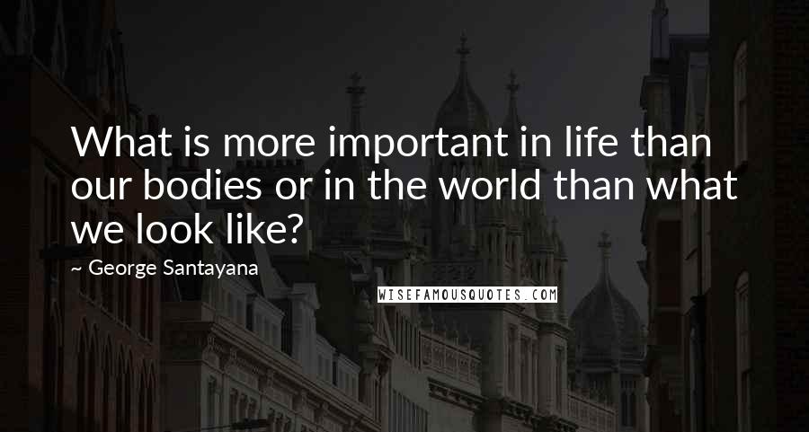 George Santayana Quotes: What is more important in life than our bodies or in the world than what we look like?