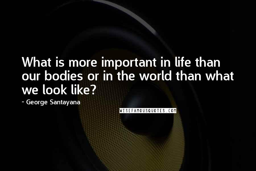George Santayana Quotes: What is more important in life than our bodies or in the world than what we look like?