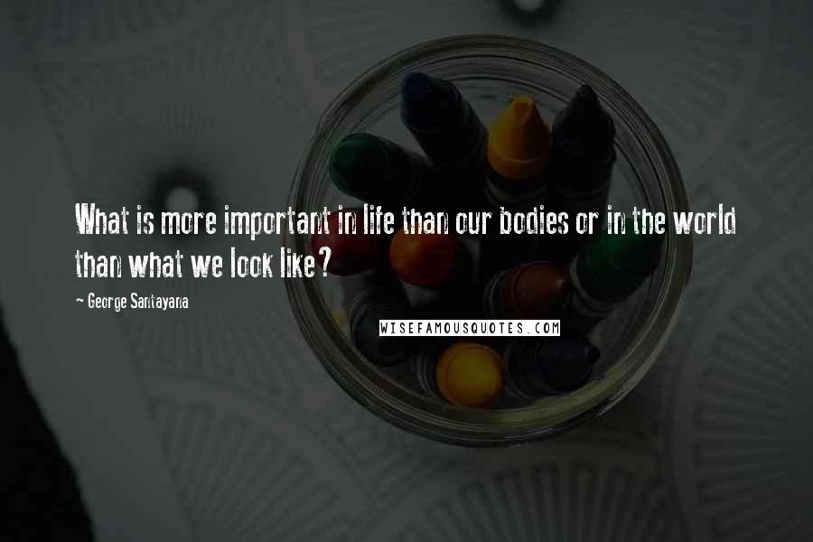 George Santayana Quotes: What is more important in life than our bodies or in the world than what we look like?