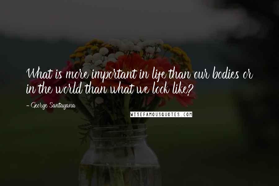 George Santayana Quotes: What is more important in life than our bodies or in the world than what we look like?