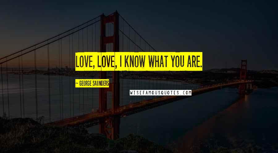 George Saunders Quotes: Love, love, I know what you are.