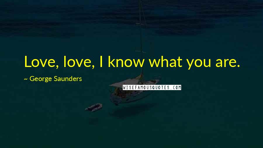 George Saunders Quotes: Love, love, I know what you are.