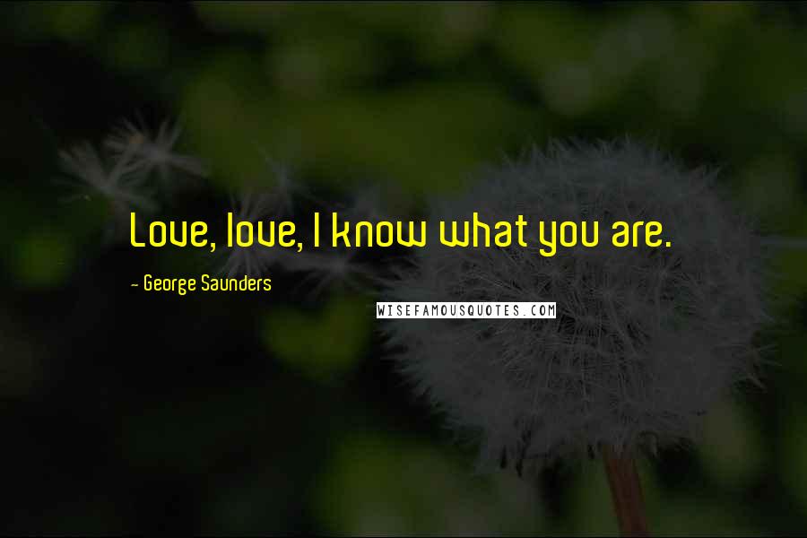 George Saunders Quotes: Love, love, I know what you are.