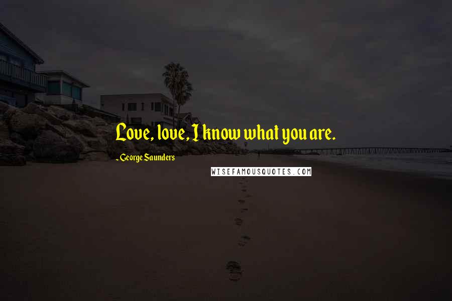George Saunders Quotes: Love, love, I know what you are.