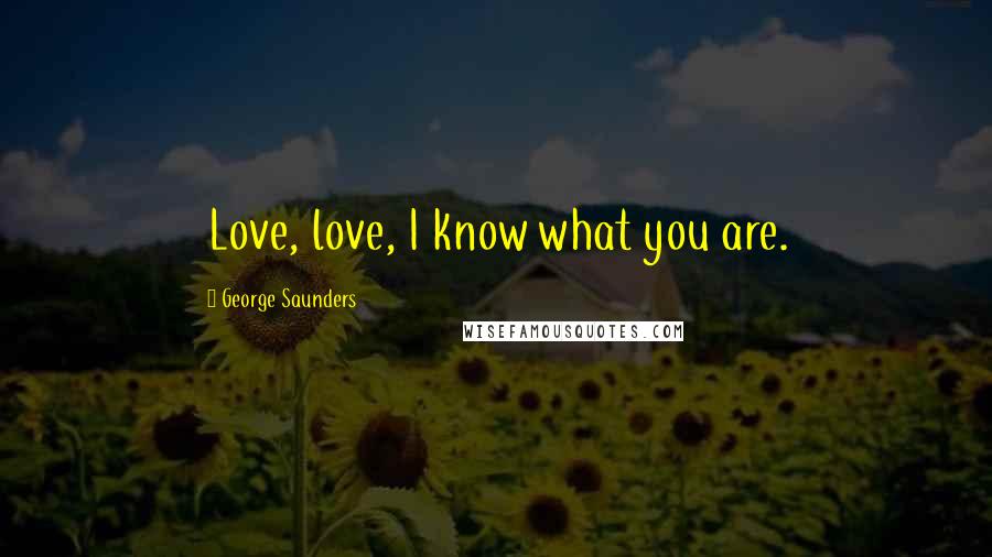 George Saunders Quotes: Love, love, I know what you are.