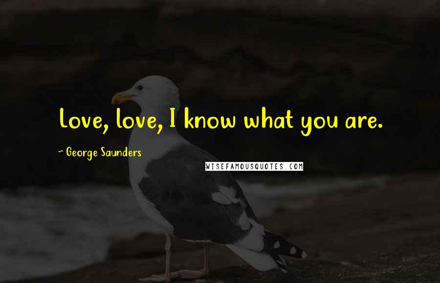 George Saunders Quotes: Love, love, I know what you are.