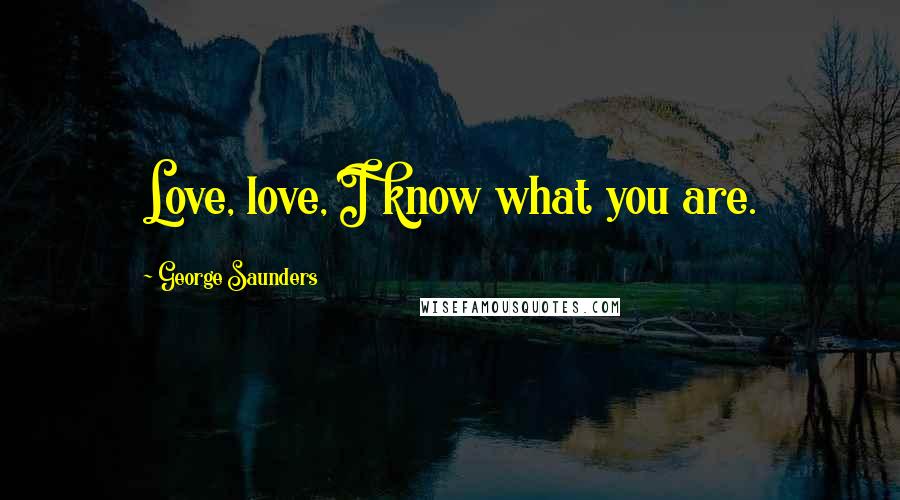 George Saunders Quotes: Love, love, I know what you are.