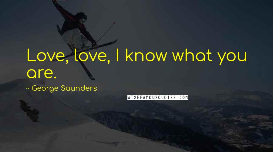 George Saunders Quotes: Love, love, I know what you are.
