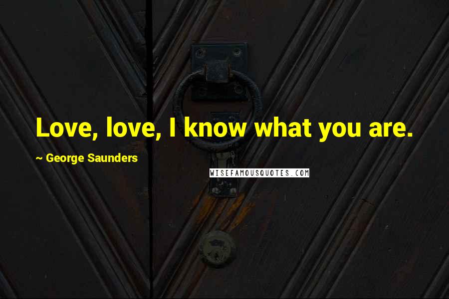 George Saunders Quotes: Love, love, I know what you are.