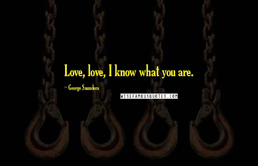 George Saunders Quotes: Love, love, I know what you are.